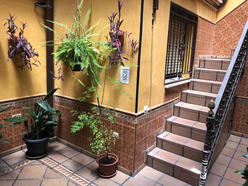 Apartamento Familiar En Toledo, Con 2 Dormitorios, Camas De Matrimonio, Ideal Ubicacion Y Fantasticas Vistas Apartment *